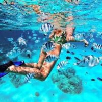Mnemba Atoll Snorkeling