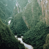 Rubondo Island National Park