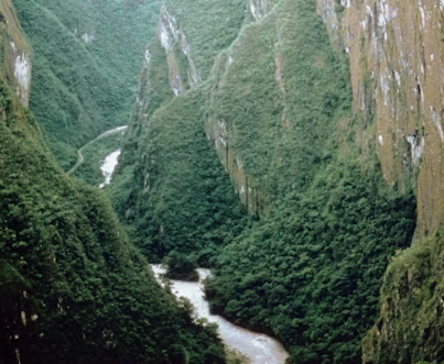 Rubondo Island National Park