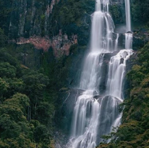 Udzungwa Mountains National Park