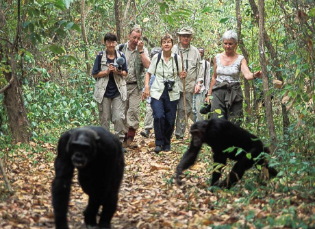 Mahale Mountains National Park