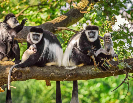 Arusha National Park