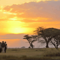 Serengeti National Park