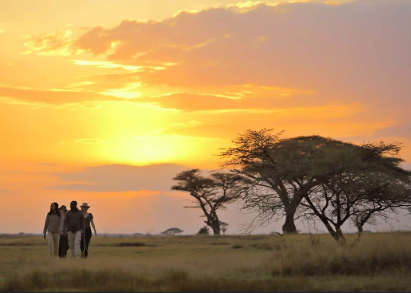 Serengeti National Park
