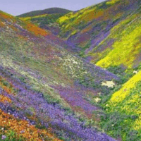 Kitulo National Park