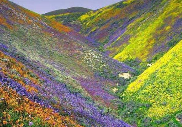 Kitulo National Park
