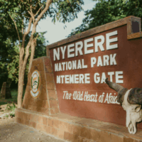Selous Game Reserve (Nyerere National Park)