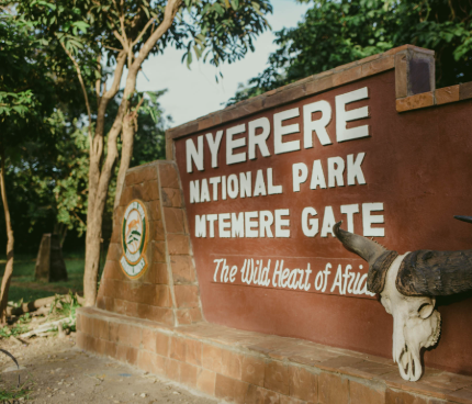 Selous Game Reserve (Nyerere National Park)