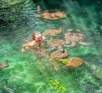 Baraka Natural Aquarium