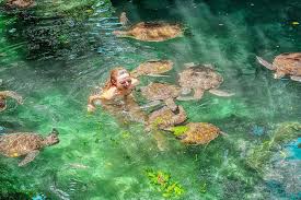 Baraka Natural Aquarium