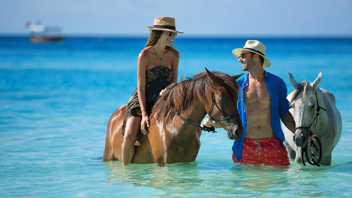 Shirazi Resort and Villas — Coming Soon